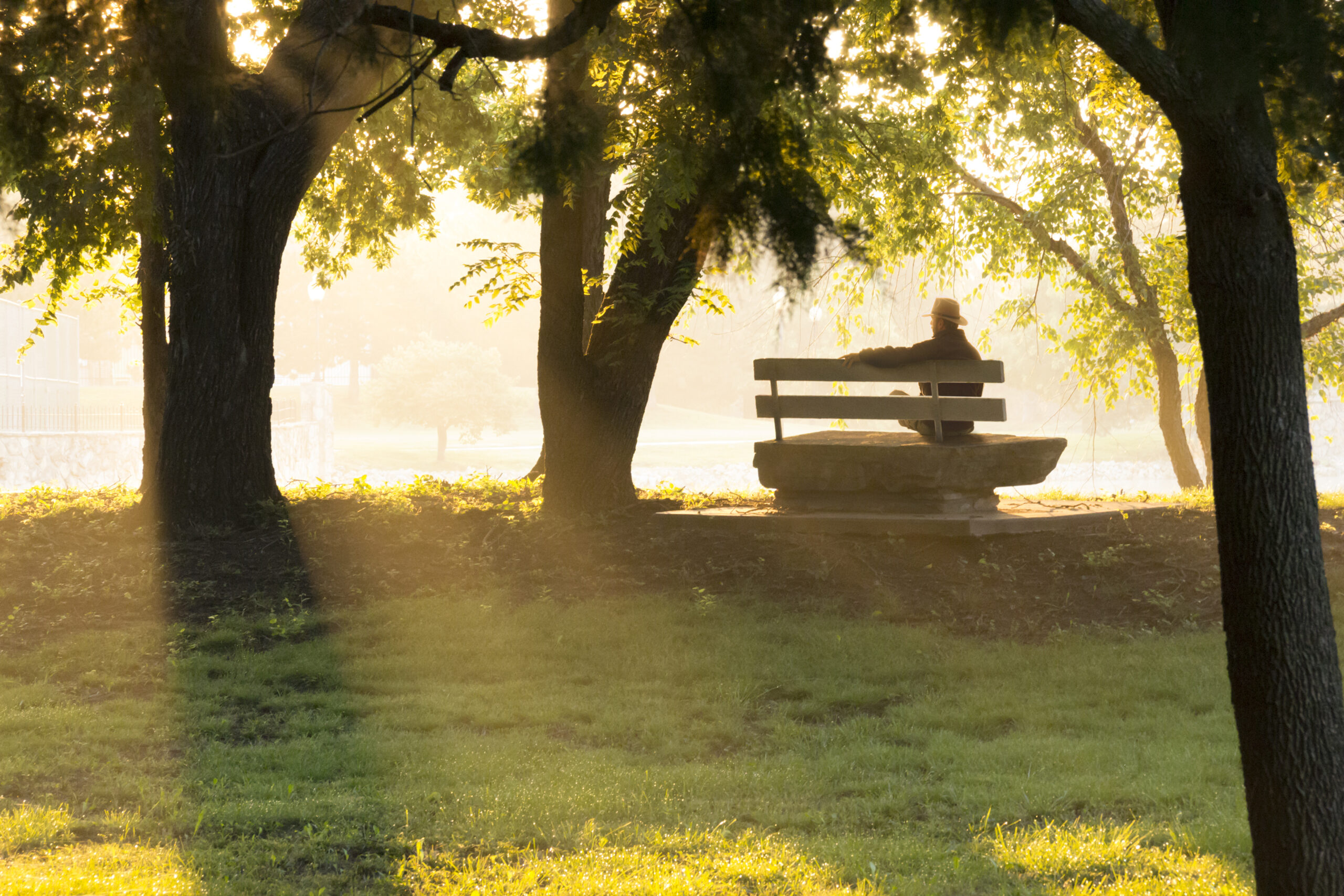 Ein Alter Mann sitzt auf einer Bank im Park. Blogbild für Senioren zum Thema: Trauerprozess
